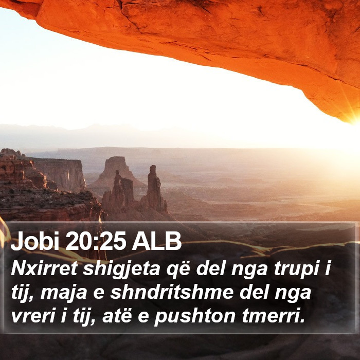 Jobi 20:25 ALB Bible Study
