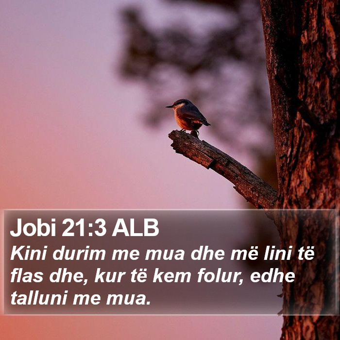 Jobi 21:3 ALB Bible Study