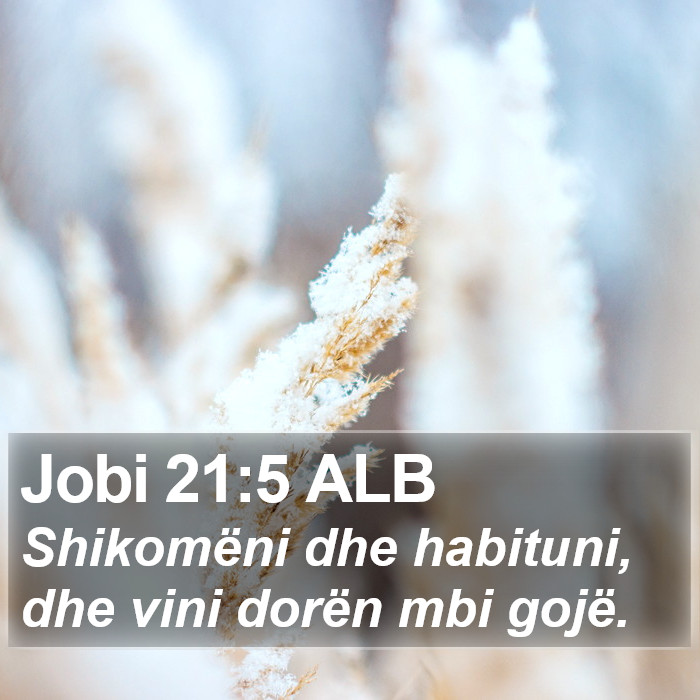 Jobi 21:5 ALB Bible Study