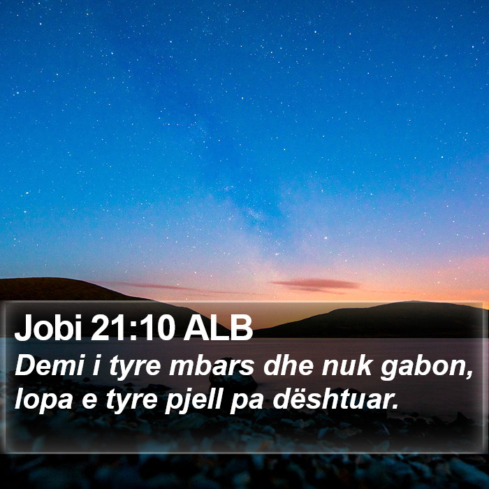 Jobi 21:10 ALB Bible Study