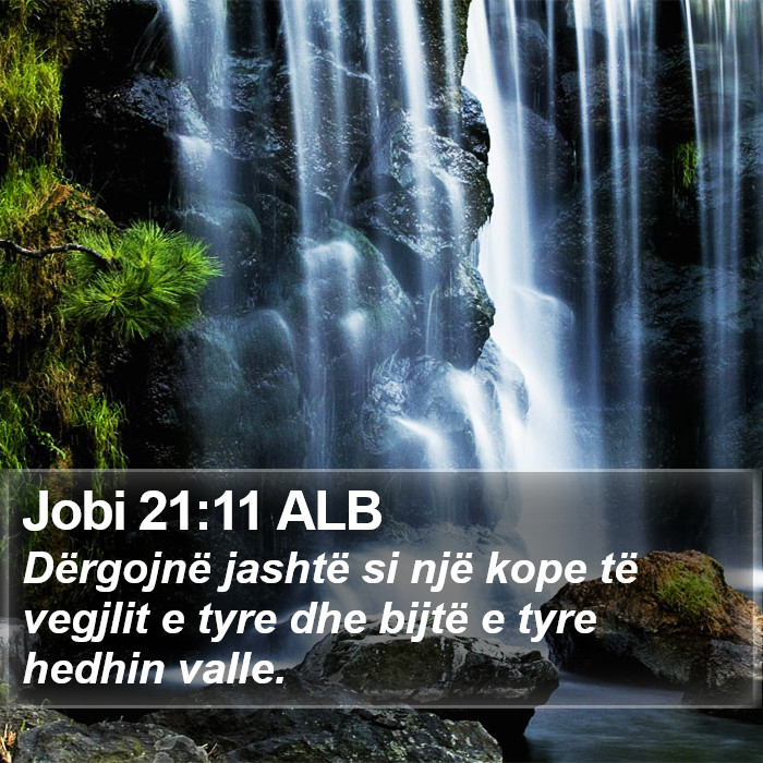 Jobi 21:11 ALB Bible Study