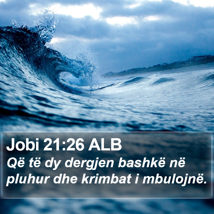 Jobi 21:26 ALB Bible Study