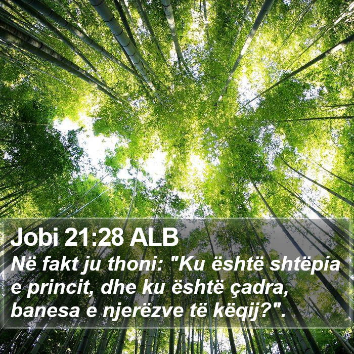 Jobi 21:28 ALB Bible Study