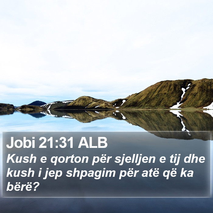 Jobi 21:31 ALB Bible Study