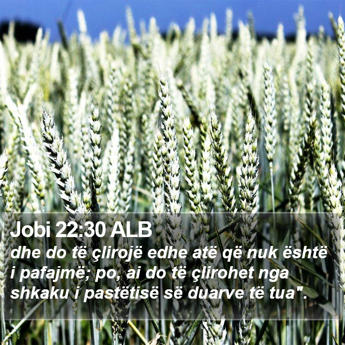 Jobi 22:30 ALB Bible Study