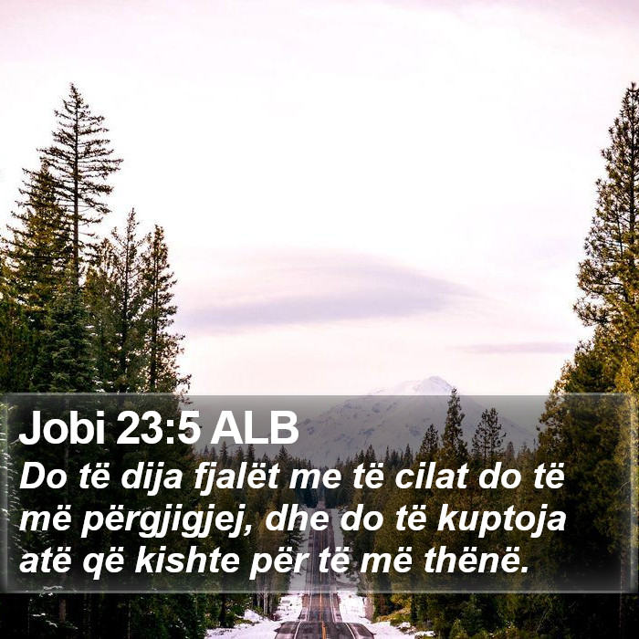 Jobi 23:5 ALB Bible Study