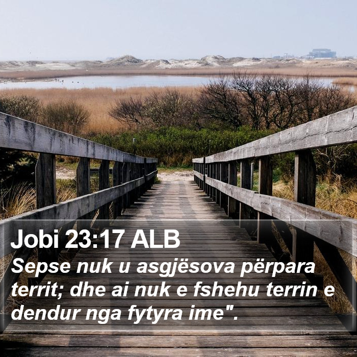 Jobi 23:17 ALB Bible Study
