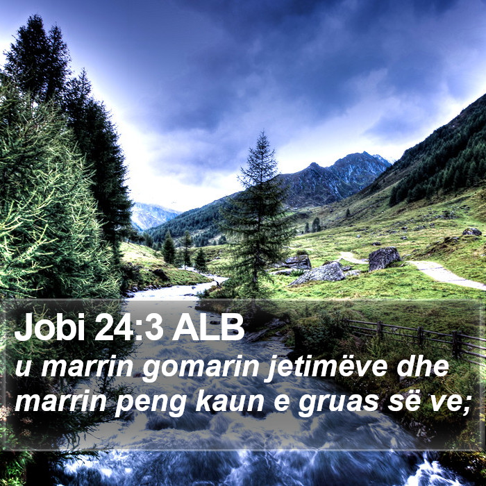 Jobi 24:3 ALB Bible Study
