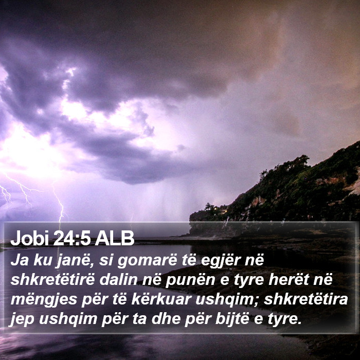 Jobi 24:5 ALB Bible Study