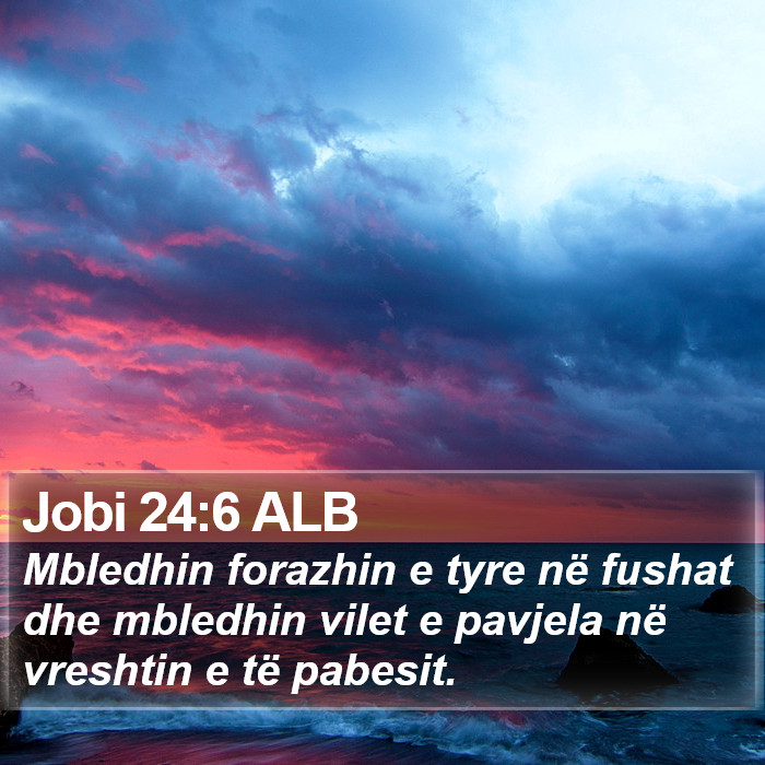 Jobi 24:6 ALB Bible Study
