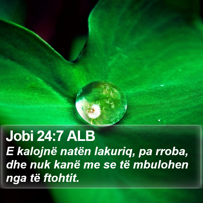 Jobi 24:7 ALB Bible Study