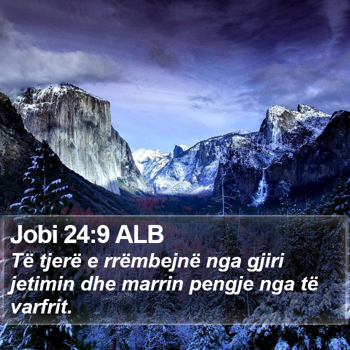 Jobi 24:9 ALB Bible Study