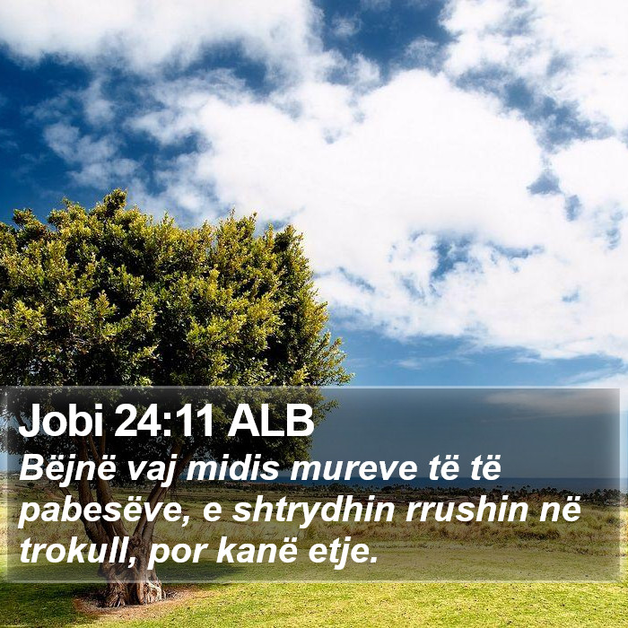 Jobi 24:11 ALB Bible Study