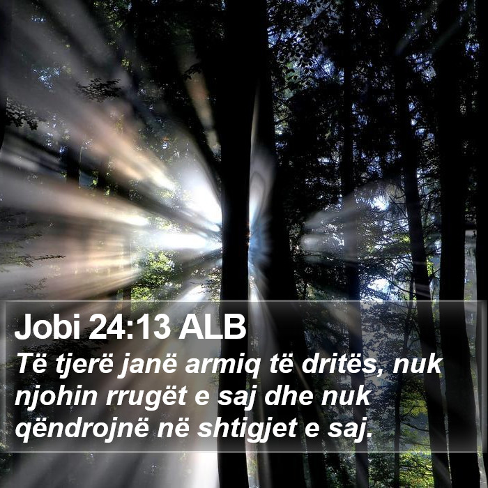 Jobi 24:13 ALB Bible Study