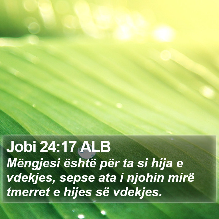 Jobi 24:17 ALB Bible Study