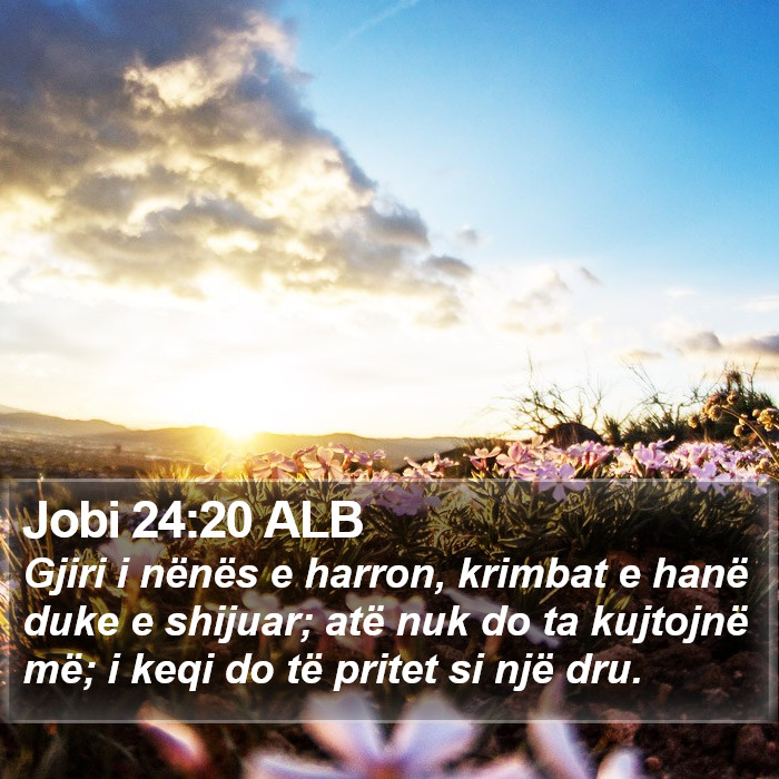 Jobi 24:20 ALB Bible Study