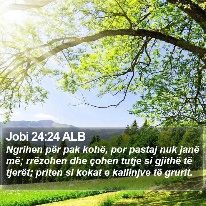 Jobi 24:24 ALB Bible Study