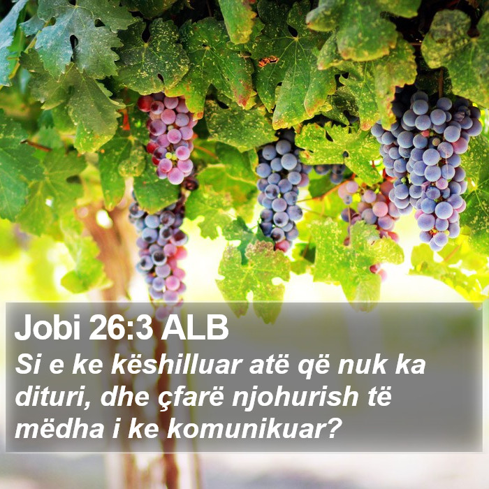 Jobi 26:3 ALB Bible Study