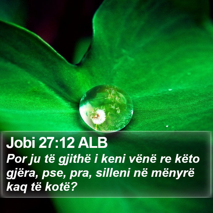 Jobi 27:12 ALB Bible Study