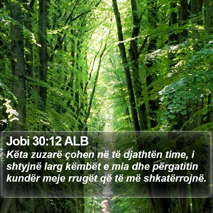 Jobi 30:12 ALB Bible Study