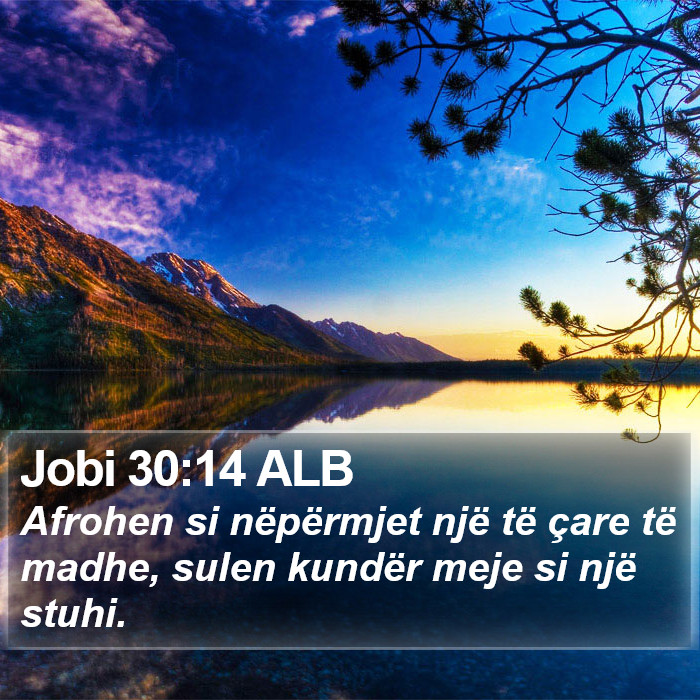 Jobi 30:14 ALB Bible Study