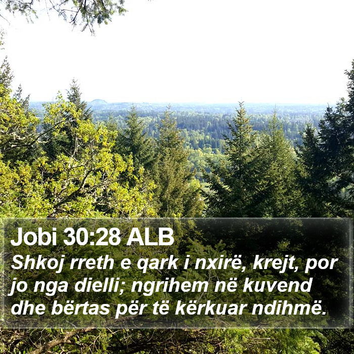 Jobi 30:28 ALB Bible Study