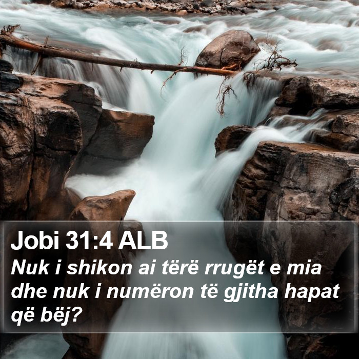 Jobi 31:4 ALB Bible Study