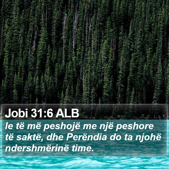 Jobi 31:6 ALB Bible Study