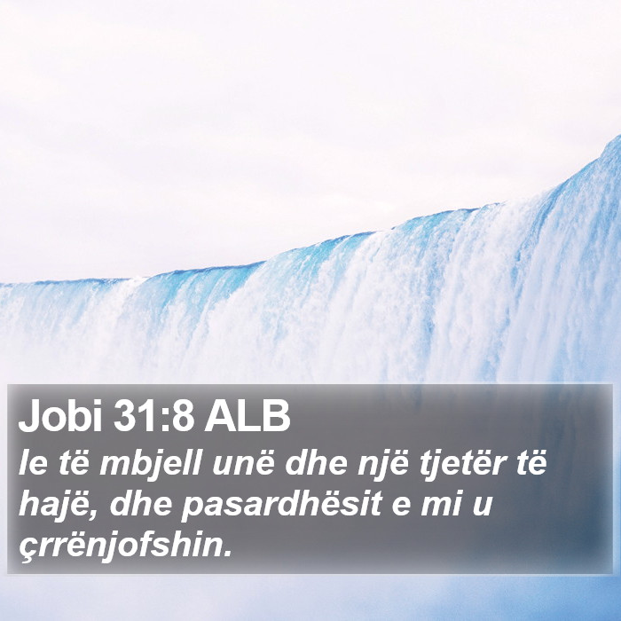 Jobi 31:8 ALB Bible Study