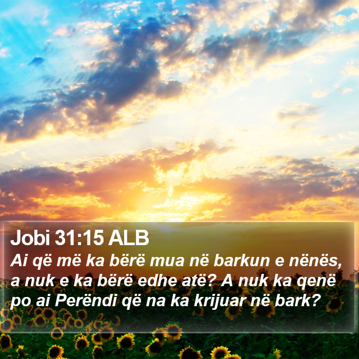 Jobi 31:15 ALB Bible Study