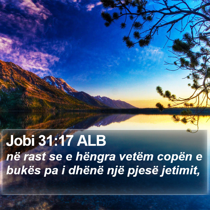 Jobi 31:17 ALB Bible Study