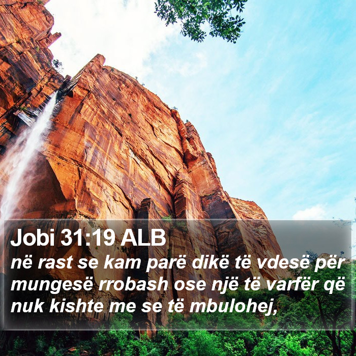Jobi 31:19 ALB Bible Study