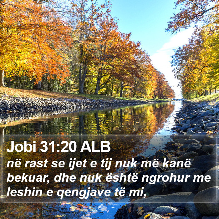 Jobi 31:20 ALB Bible Study
