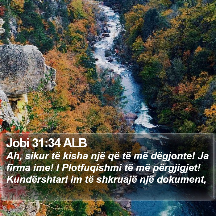 Jobi 31:34 ALB Bible Study