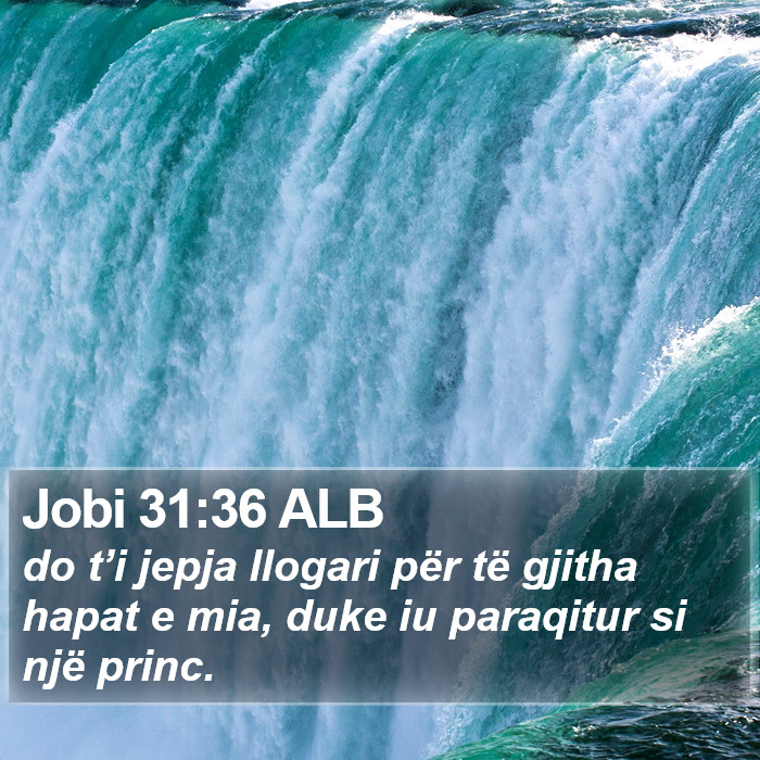 Jobi 31:36 ALB Bible Study