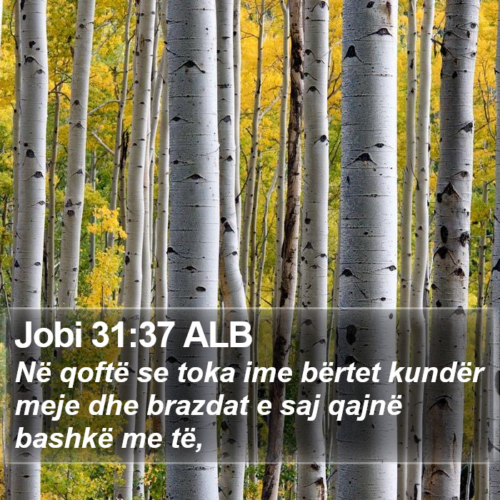 Jobi 31:37 ALB Bible Study
