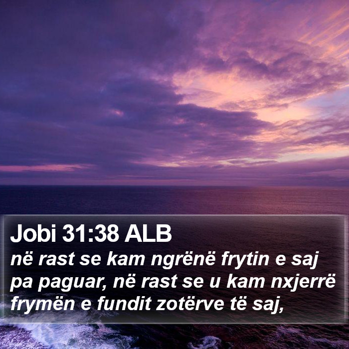 Jobi 31:38 ALB Bible Study