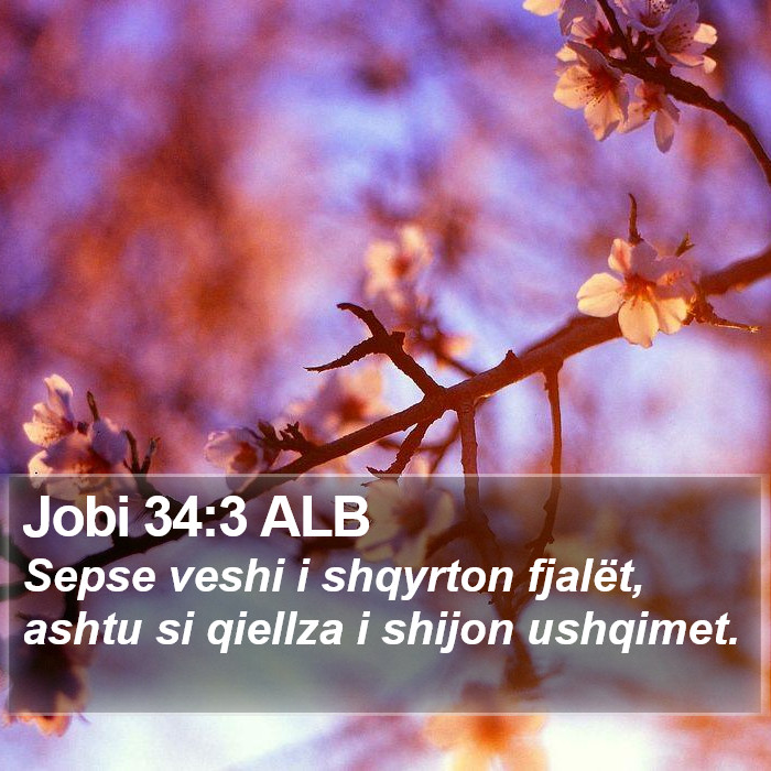Jobi 34:3 ALB Bible Study