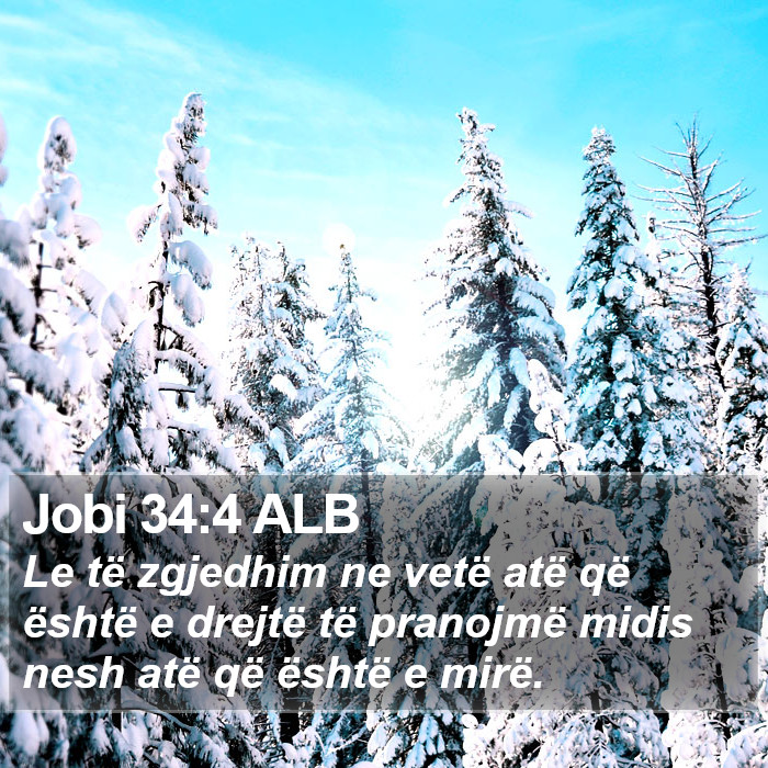 Jobi 34:4 ALB Bible Study