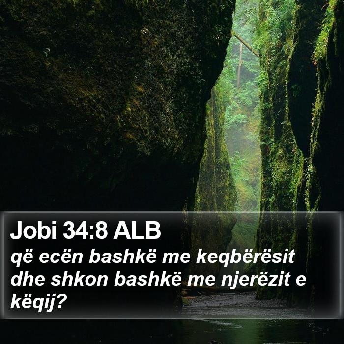 Jobi 34:8 ALB Bible Study
