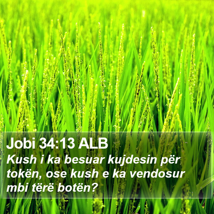 Jobi 34:13 ALB Bible Study