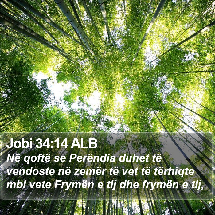 Jobi 34:14 ALB Bible Study