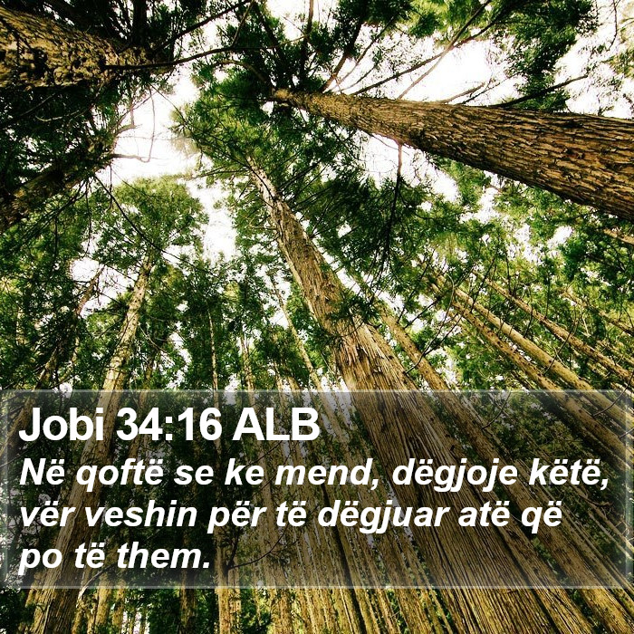 Jobi 34:16 ALB Bible Study