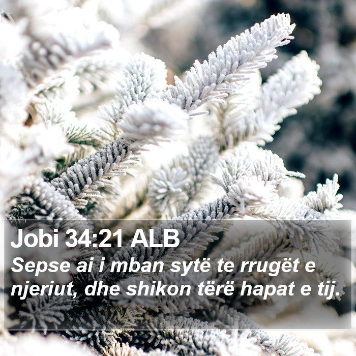 Jobi 34:21 ALB Bible Study