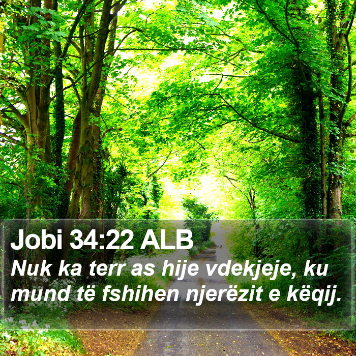 Jobi 34:22 ALB Bible Study
