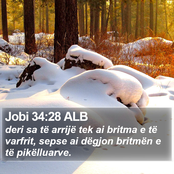 Jobi 34:28 ALB Bible Study