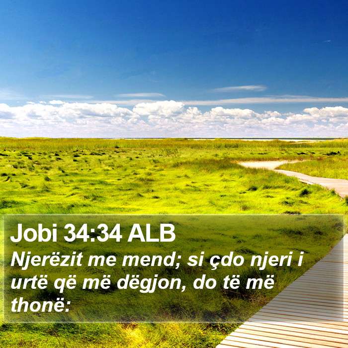 Jobi 34:34 ALB Bible Study