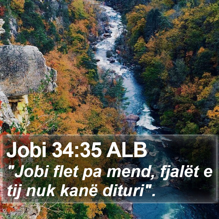 Jobi 34:35 ALB Bible Study