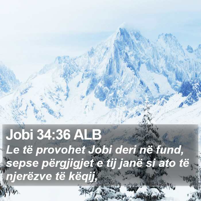 Jobi 34:36 ALB Bible Study