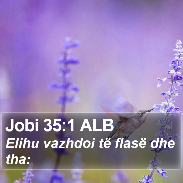 Jobi 35:1 ALB Bible Study